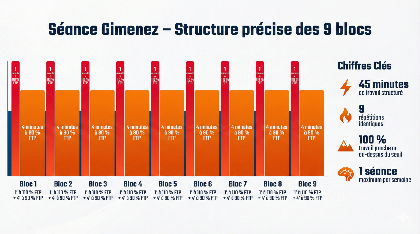 Infographie structure séance gimenez