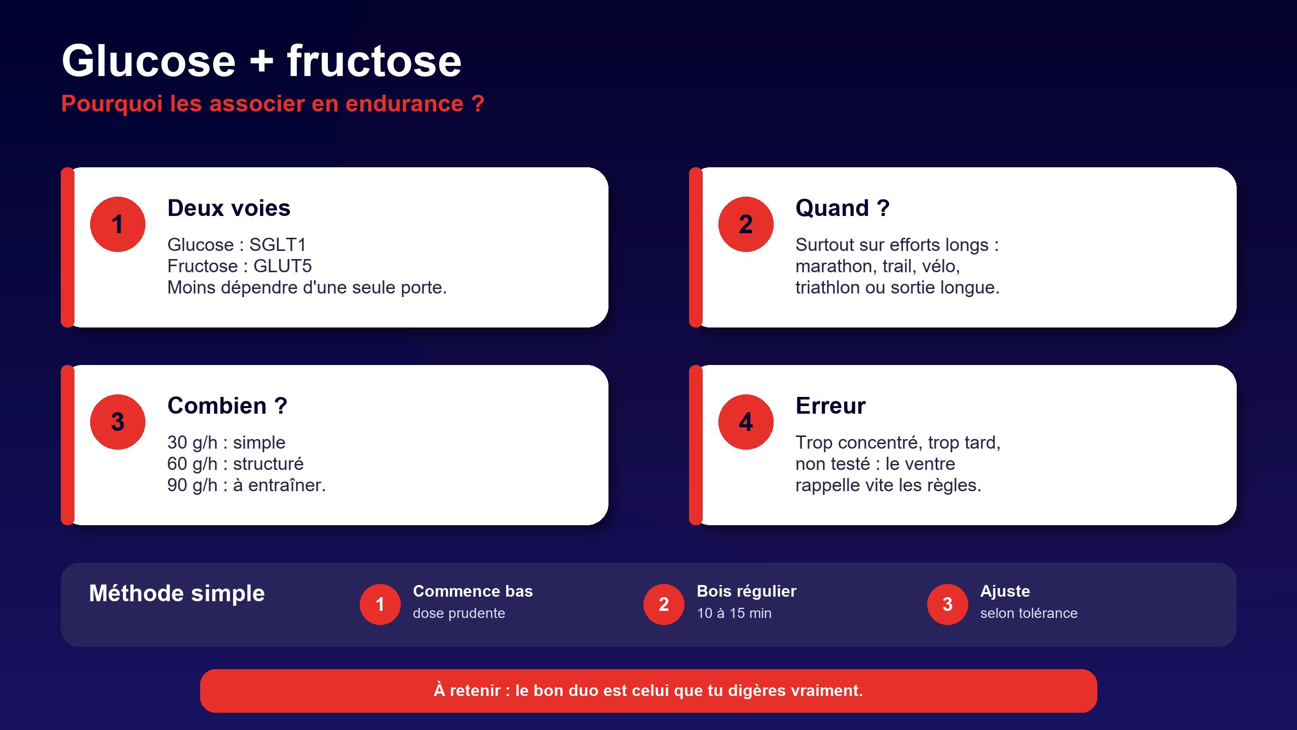 Infographie fructose et endurance avec glucose pour les efforts longs