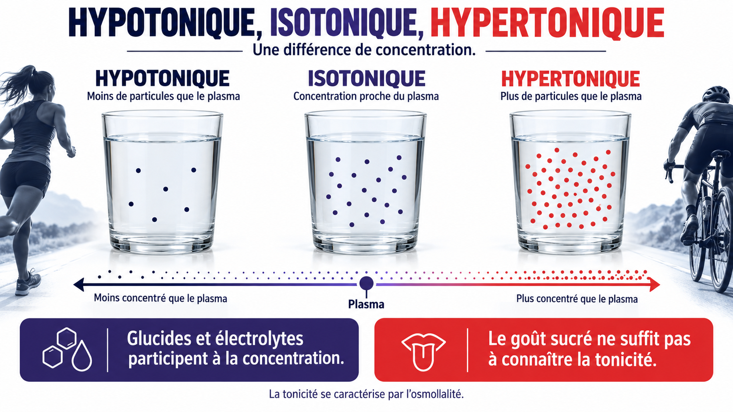Infographie comparant la concentration des boissons hypotoniques, isotoniques et hypertoniques par rapport au plasma