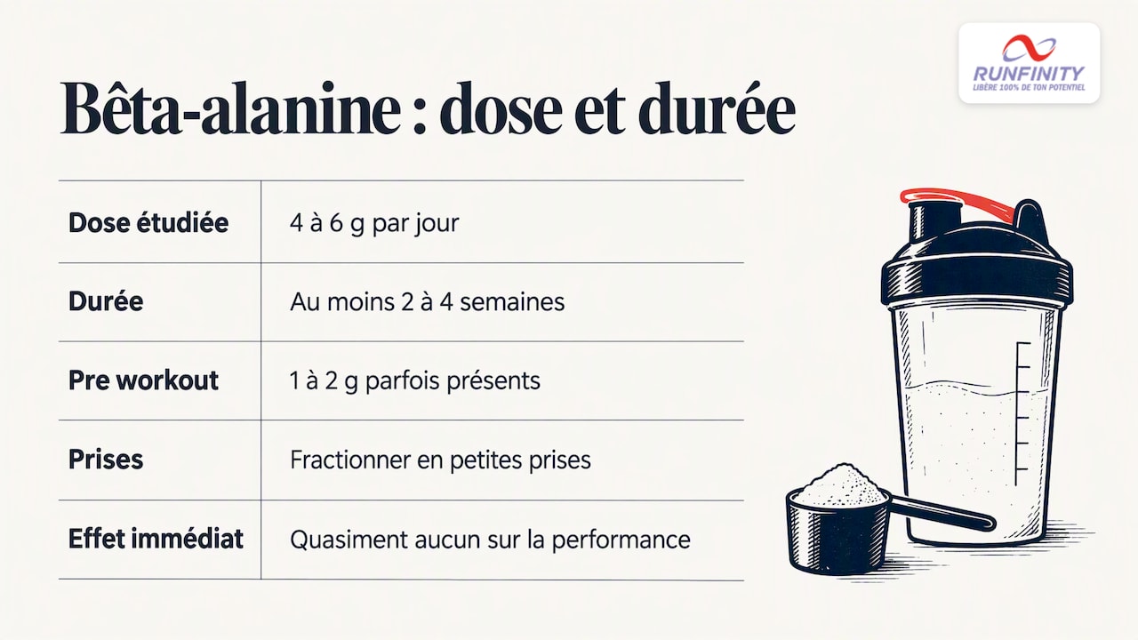 Dose quotidienne et durée de supplémentation en bêta-alanine