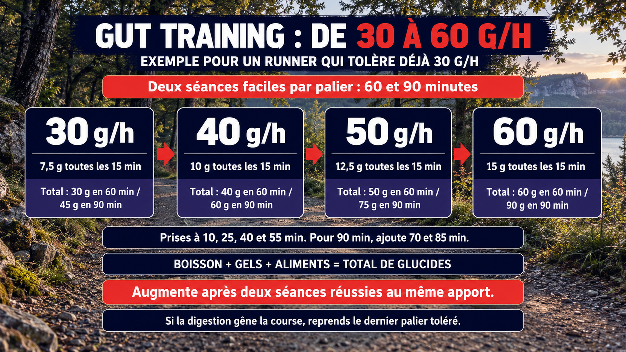 Infographie du protocole de gut training de 30 à 60 g de glucides par heure, avec prises toutes les 15 minutes et critères de progression